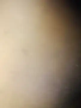 Snapshot of Crowlers chatting on March 16, 2025, 12:01 am Crowlers online show from March 16, 2025, 12:01 am