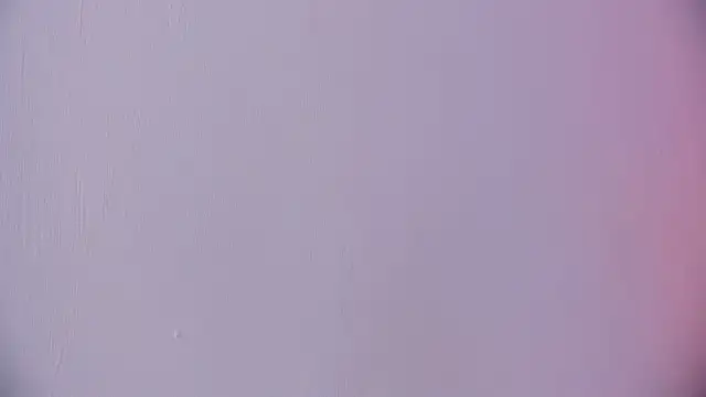 Snapshot of Ashlyaurora chatting on April 13, 2026, 4:38 am Ashlyaurora online show from April 13, 2026, 4:38 am