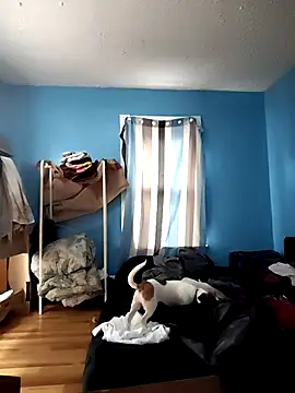 Snapshot of GsSpot69 chatting on October 24, 2025, 6:29 pm GsSpot69 online show from October 24, 2025, 6:29 pm