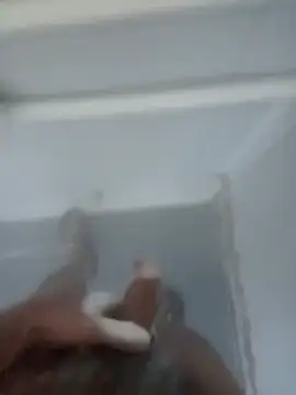 Snapshot of bigcockturk3 chatting on February 12, 2025, 7:13 pm bigcockturk3 online show from February 12, 2025, 7:13 pm