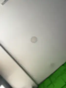 Dulce  Boyd online show from March 12, 2026, 1:48 pm