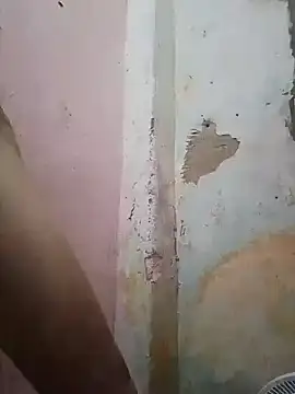 Snapshot of shuelldin chatting on February 13, 2025, 11:50 am shuelldin online show from February 13, 2025, 11:50 am