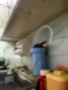 Snapshot of Carola-Ross chatting on January 6, 2026, 4:33 pm Carola-Ross online show from January 6, 2026, 4:33 pm