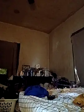 birdg online show from November 17, 2025, 4:55 pm