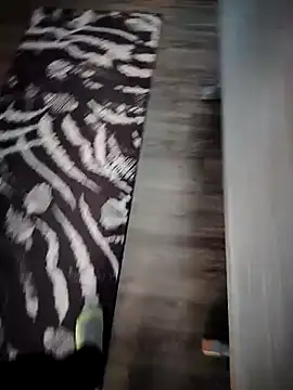 Snapshot of Teemu chatting on March 11, 2025, 3:45 pm Teemu online show from March 11, 2025, 3:45 pm