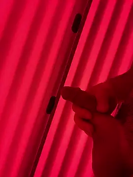 plaintreebull online show from January 10, 2026, 7:42 pm