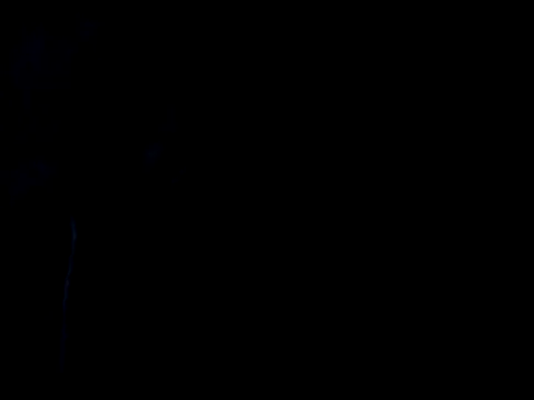 Holatpngo online show from November 9, 2025, 3:10 am