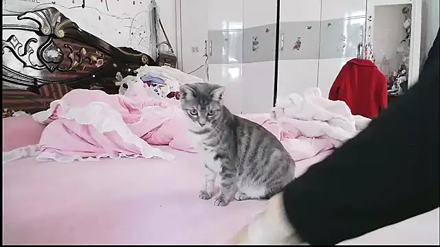 Snapshot of hebe-02 chatting on November 5, 2025, 2:14 am hebe-02 online show from November 5, 2025, 2:14 am