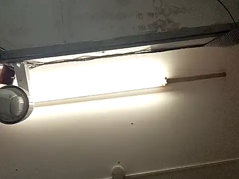 Mrnutella online show from September 19, 2025, 8:57 pm