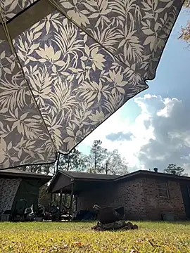 Snapshot of HTXBELLE chatting on December 21, 2025, 7:37 pm HTXBELLE online show from December 21, 2025, 7:37 pm