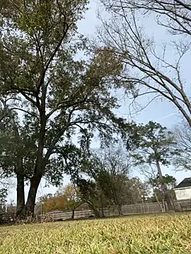 Snapshot of HTXBELLE chatting on December 16, 2025, 5:06 pm HTXBELLE online show from December 16, 2025, 5:06 pm