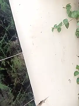 bairobunde online show from April 17, 2026, 8:17 am