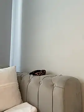 Snapshot of laraaaaaa chatting on February 12, 2026, 7:41 am laraaaaaa online show from February 12, 2026, 7:41 am