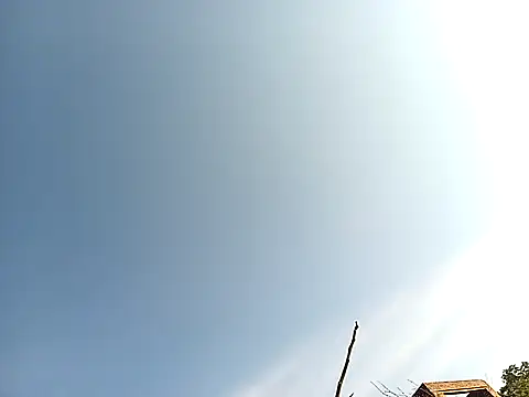 Snapshot of lilpip chatting on November 27, 2025, 4:02 am lilpip online show from November 27, 2025, 4:02 am