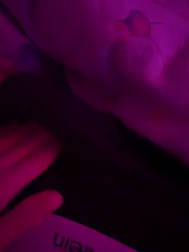 Snapshot of mario_6_9_9_0 chatting on March 7, 2025, 8:55 pm mario 6 9 9 0 online show from March 7, 2025, 8:55 pm