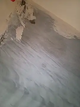 Snapshot of heena-3678 chatting on September 24, 2025, 1:50 pm heena-3678 online show from September 24, 2025, 1:50 pm