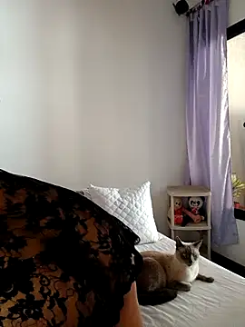 Sheila Sazs1 online show from December 3, 2025, 1:54 pm