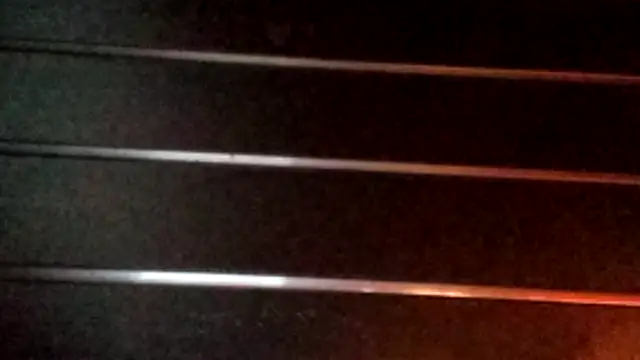 wetnwildforyou online show from October 31, 2025, 4:09 am