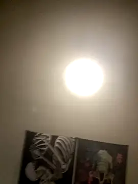 Snapshot of 1Zoey101 chatting on November 5, 2025, 4:37 am 1Zoey101 online show from November 5, 2025, 4:37 am