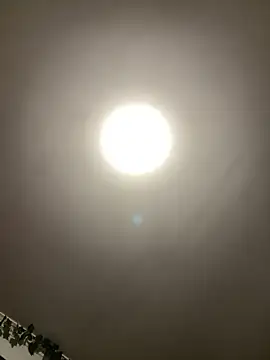 1Zoey101 online show from April 5, 2026, 5:52 pm