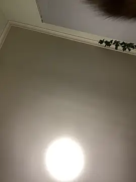 1Zoey101 online show from April 17, 2026, 1:36 pm