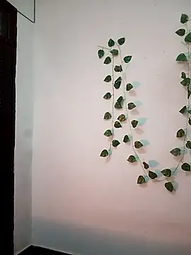 Neha-Bhabhi-Rasily online show from February 20, 2026, 11:12 am