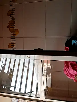 BellyDancer1 online show from November 5, 2025, 8:50 am