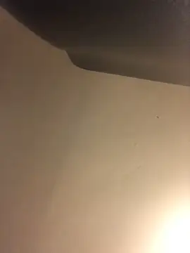 Snapshot of Donnydon79 chatting on March 4, 2025, 11:32 pm Donnydon79 online show from March 4, 2025, 11:32 pm