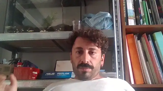 Febo6666 online show from July 2, 2026, 12:11 pm