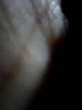 Sandra42 online show from December 15, 2025, 9:48 am