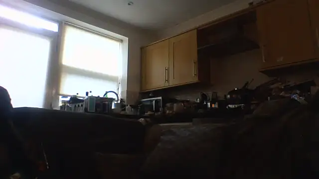 Snapshot of Grower_and_shower chatting on November 17, 2025, 11:47 am Grower and shower online show from November 17, 2025, 11:47 am