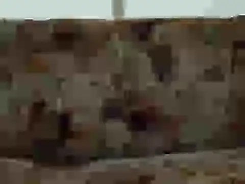 Snapshot of priya_patel chatting on September 12, 2025, 7:19 am priya patel online show from September 12, 2025, 7:19 am