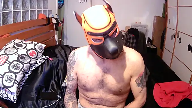 Snapshot of danix_wild_wolf chatting on December 17, 2025, 1:27 pm danix wild wolf online show from December 17, 2025, 1:27 pm