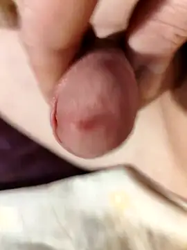 --Serhei-- online show from February 15, 2026, 9:52 am