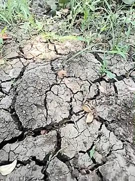 Snapshot of himvilohi08 chatting on April 1, 2026, 5:09 am himvilohi08 online show from April 1, 2026, 5:09 am