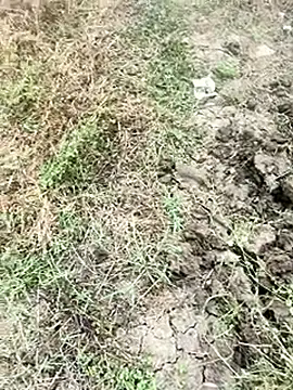 Snapshot of himvilohi08 chatting on January 9, 2026, 4:08 am himvilohi08 online show from January 9, 2026, 4:08 am