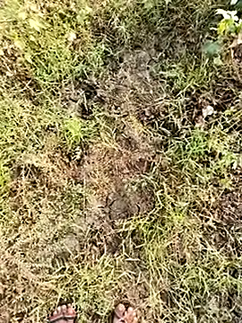 Snapshot of himvilohi08 chatting on January 8, 2026, 4:07 am himvilohi08 online show from January 8, 2026, 4:07 am