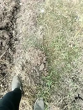 Snapshot of himvilohi08 chatting on January 18, 2026, 4:05 am himvilohi08 online show from January 18, 2026, 4:05 am