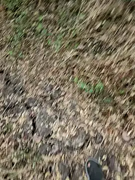 Snapshot of himvilohi08 chatting on March 25, 2026, 12:48 pm himvilohi08 online show from March 25, 2026, 12:48 pm