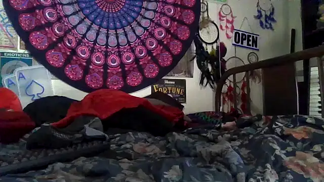 GardeniaFields online show from April 4, 2026, 10:33 am