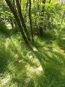sile47 online show from May 24, 2026, 12:16 pm