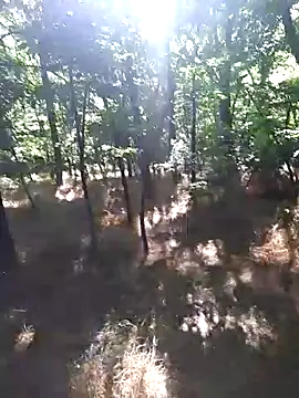 sile47 online show from June 14, 2026, 1:01 pm