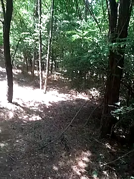 sile47 online show from July 16, 2026, 10:56 am
