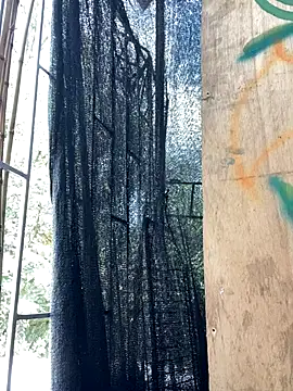 val zx online show from September 10, 2025, 6:29 pm