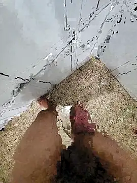 Pauloosil online show from March 12, 2025, 1:51 pm