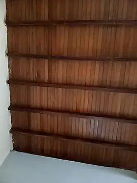 Sexi girl29 online show from February 11, 2026, 1:00 pm