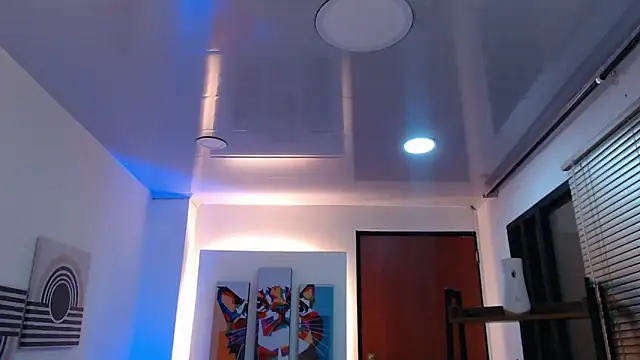 Snapshot of dangel_noir6 chatting on November 9, 2025, 11:25 am dangel noir6 online show from November 9, 2025, 11:25 am