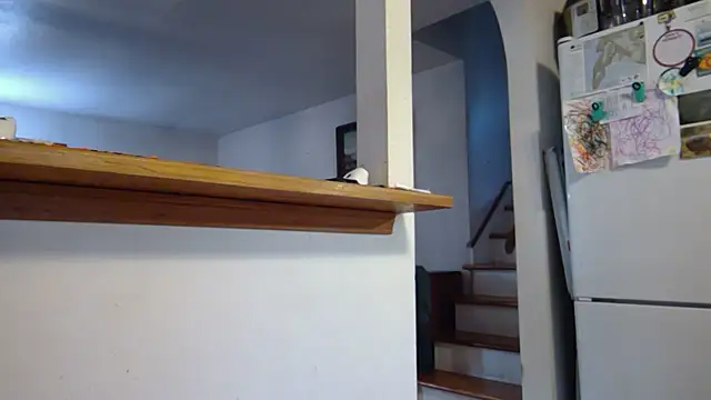 jonnygoodtimes online show from November 15, 2025, 7:29 pm