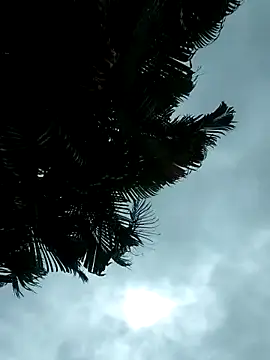 emiliemilf online show from October 9, 2025, 9:37 pm