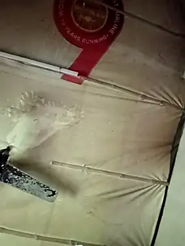 adrija94 online show from November 22, 2025, 4:11 am